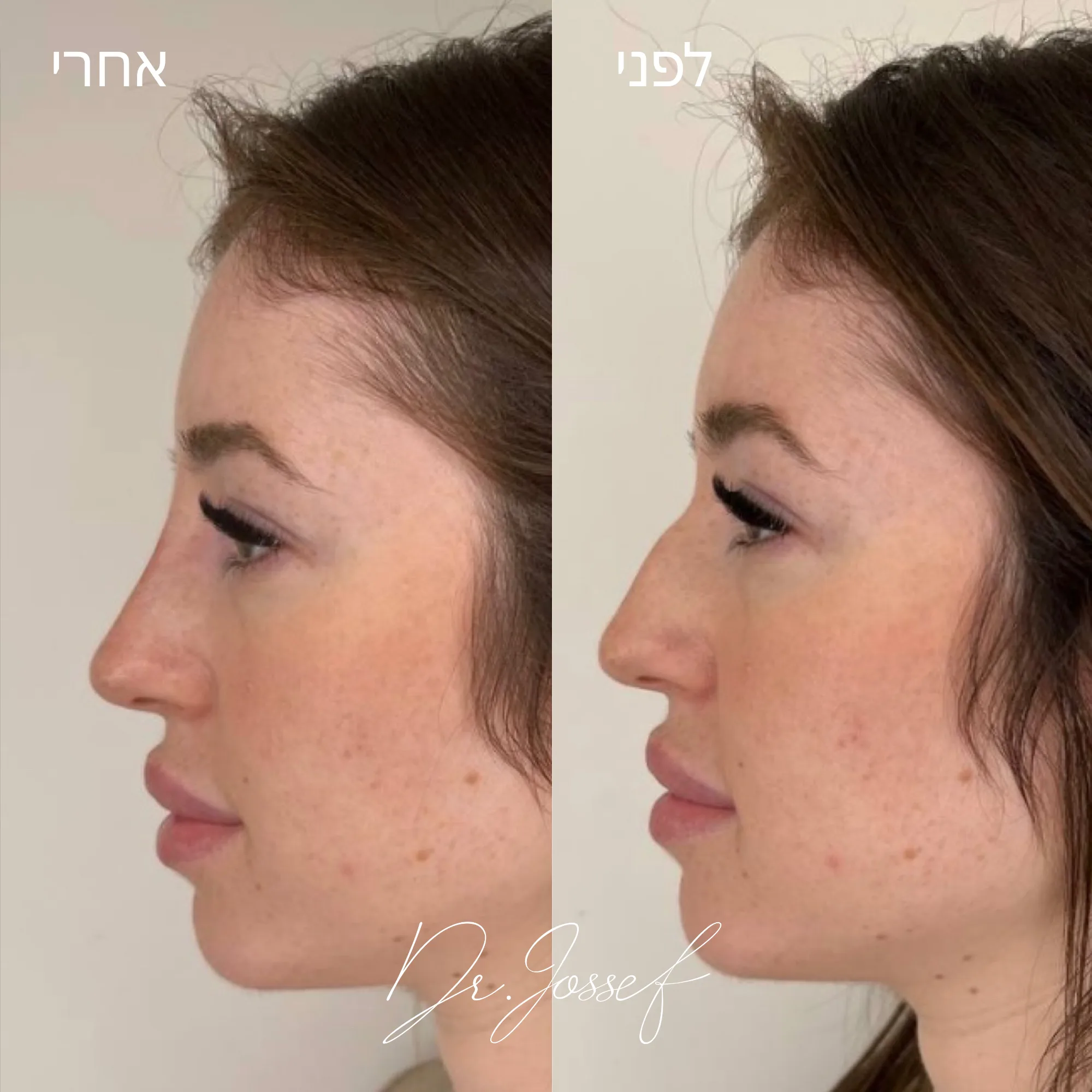 Brown Paper Family Mailing Label